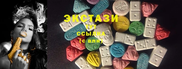 МДПВ Ельня