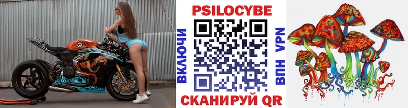 Псилоцибиновые грибы GOLDEN TEACHER  OMG сайт  Правдинск  что такое  